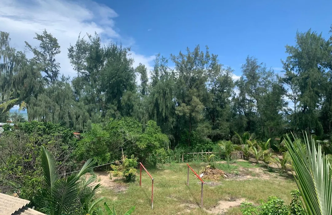 Peach House-1