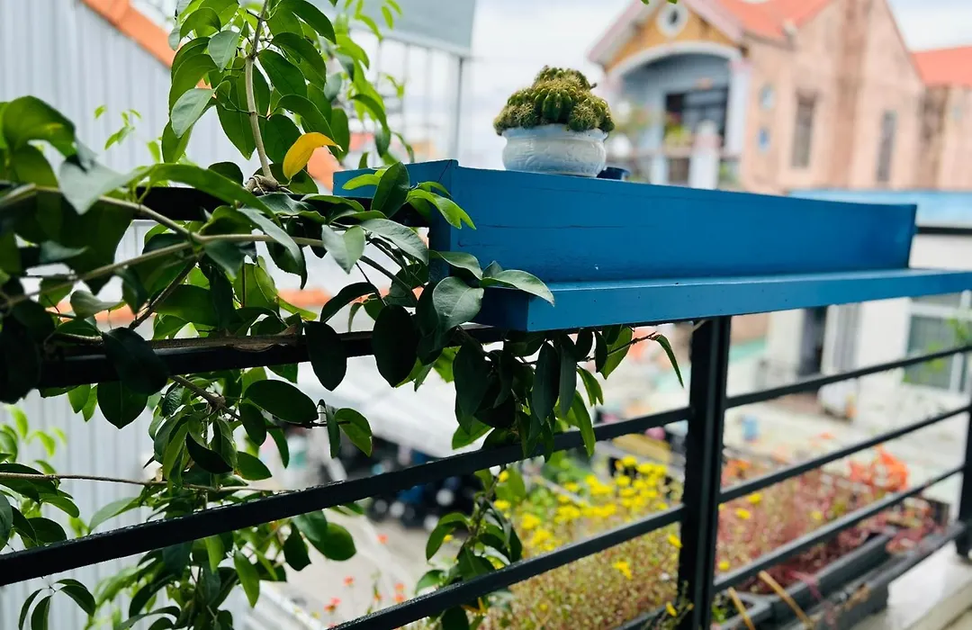 May'S House Hoi An-1